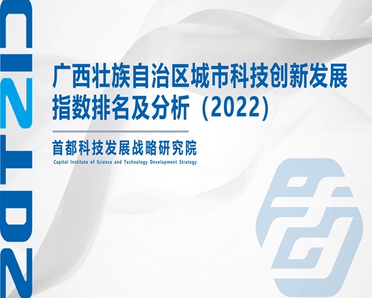 老头子跟老太婆操逼逼【成果发布】广西壮族自治区城市科技创新发展指数排名及分析（2022）